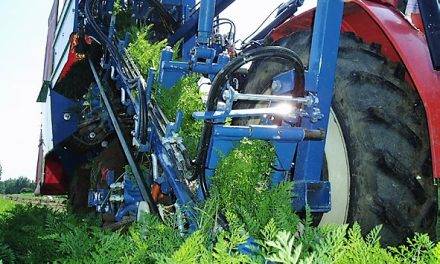 Recolectoras de hortalizas Asa-Lift