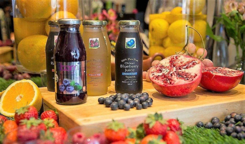 El Inia de Chile con la escuela de los sentidos