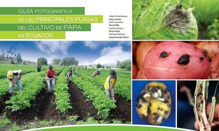 Identificación de plagas, enfermedades y fisiopatías en patatas