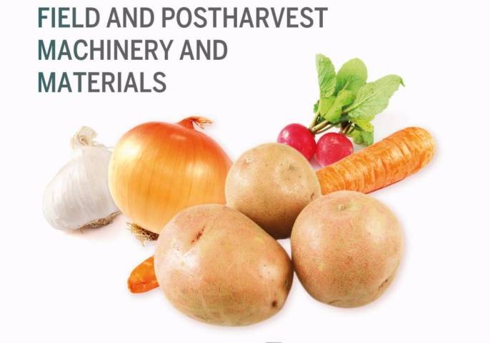 Hortalizas subterráneas