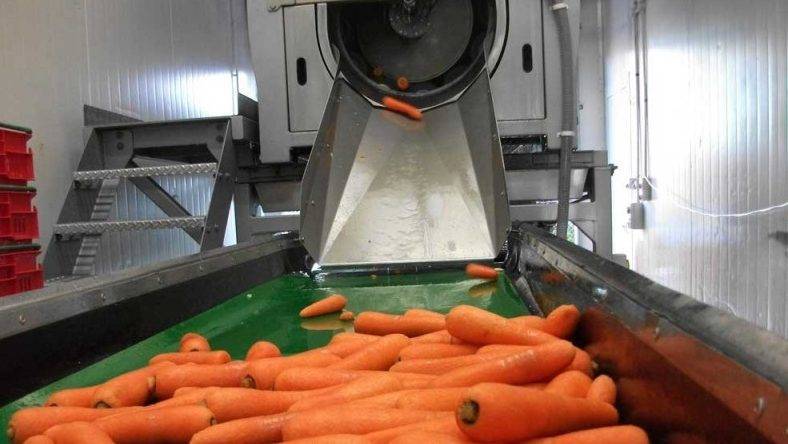 Pelador de hortalizas de WYMA