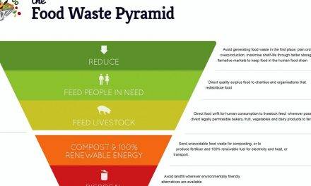 Desperdicio alimentario, una visión global