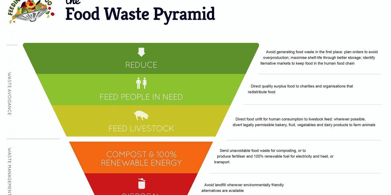 Desperdicio alimentario, una visión global