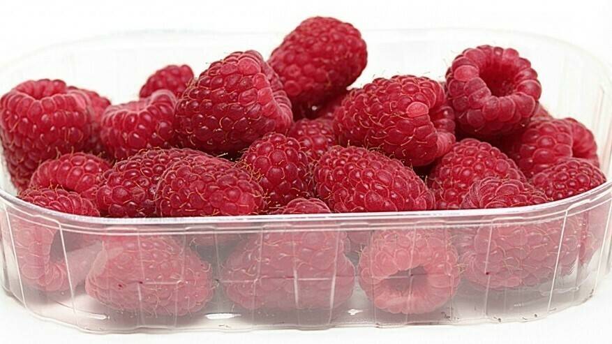 Un film biodegradable con permeabilidades de 5.7 kPa O2 y 31.6 kPa CO2