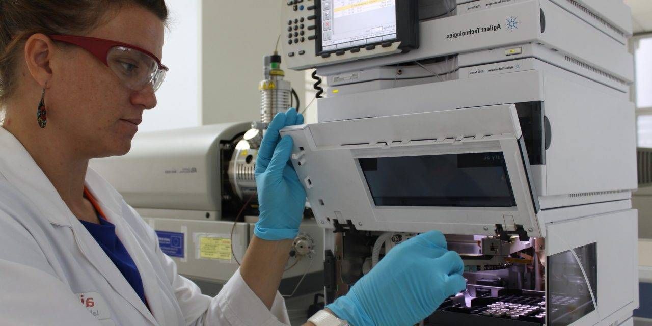 AINIA propone un servicio especial para reducir los niveles de acrilamida en los alimentos