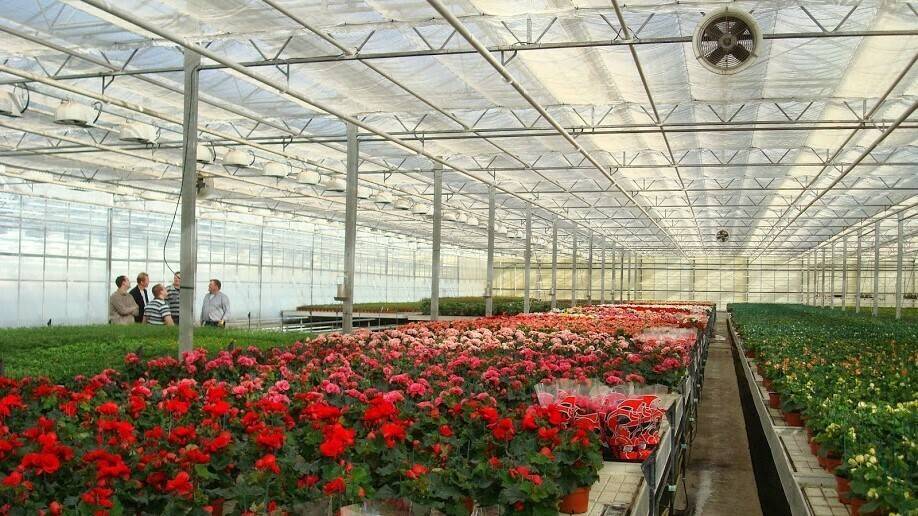 Dobles cubiertas plásticas en los invernaderos