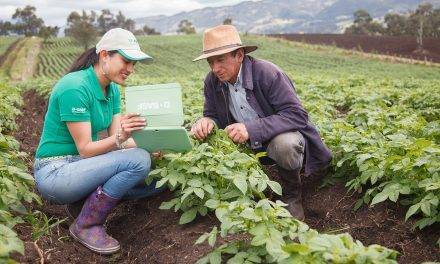 BASF crop protection innovation pipeline