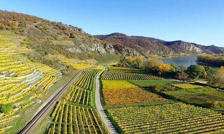 El proyecto LIFE+Agricarbon premiado por la UE por la lucha contra el Cambio Climático