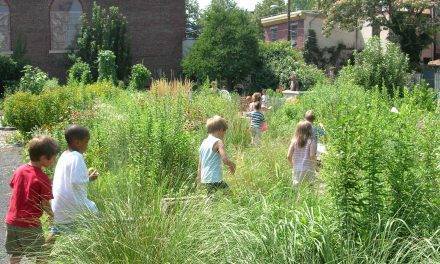 Creciendo para el futuro y los retos de la producción agrícola en Surinver