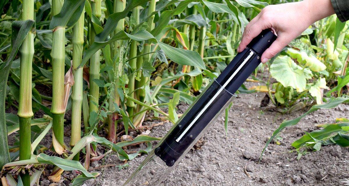 Time to think about Root Imaging!