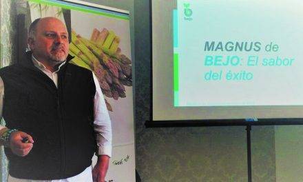 Magnus, un espárrago verde de éxito para el agricultor y con gran sabor
