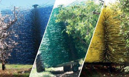 Operaciones de aclareo en manzano más económicas y ecológicas