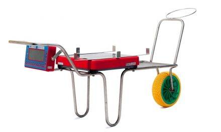 Tecnología novedosa para la recogida de frutos rojos