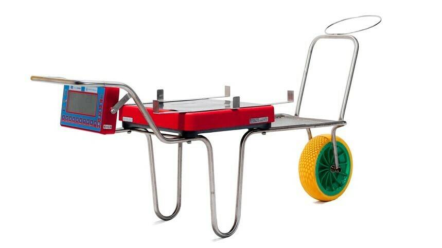 Tecnología novedosa para la recogida de frutos rojos