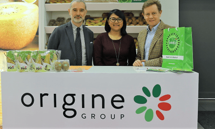 Alessandro Zampagna nuevo Director General de Origine Group
