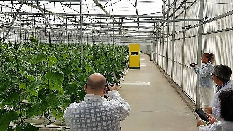 Semillas Fitó invierte en Almería para ampliar sus instalaciones de I+D