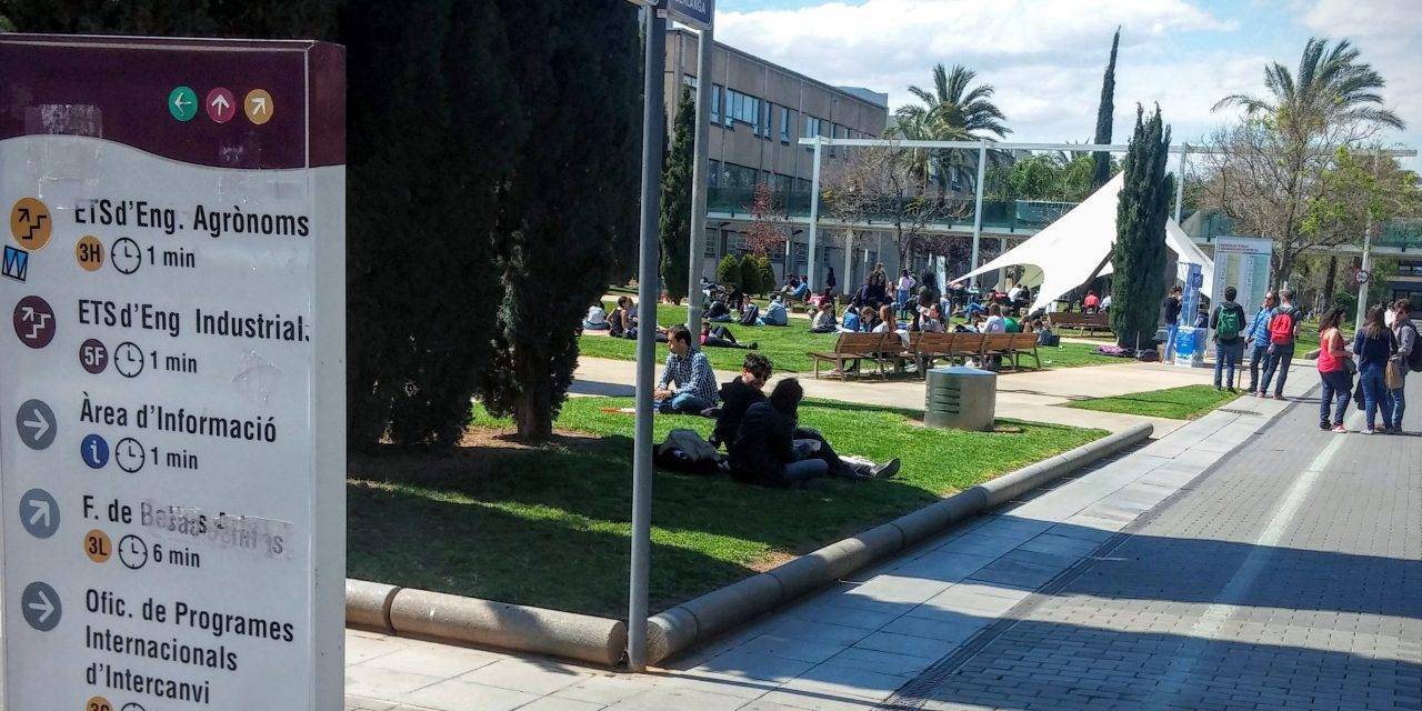 Modernización de la producción y el comercio hortofrutícola de proximidad en Valencia