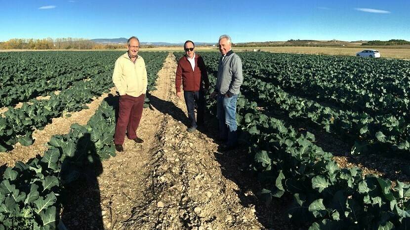 FMC Agricultural Solutions obtiene autorización para sus insecticidas de Cyazypyr®