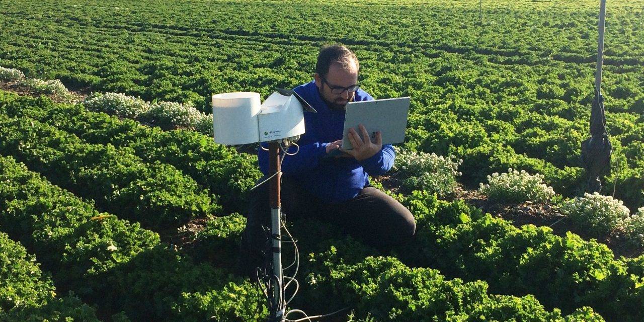 Globalizar la digitalización del sector agroalimentario