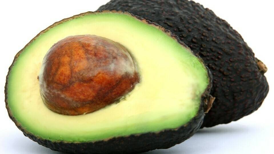 Investigación en poscosecha de frutos tropicales