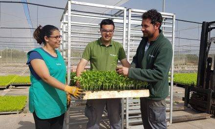 Prácticas CIPFP en el semillero de producción agroecológica