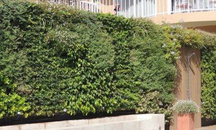 Los  jardines verticales actúan como sistema de enfriamiento pasivo para fachadas aisladas