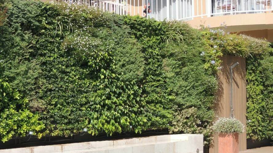 Los  jardines verticales actúan como sistema de enfriamiento pasivo para fachadas aisladas