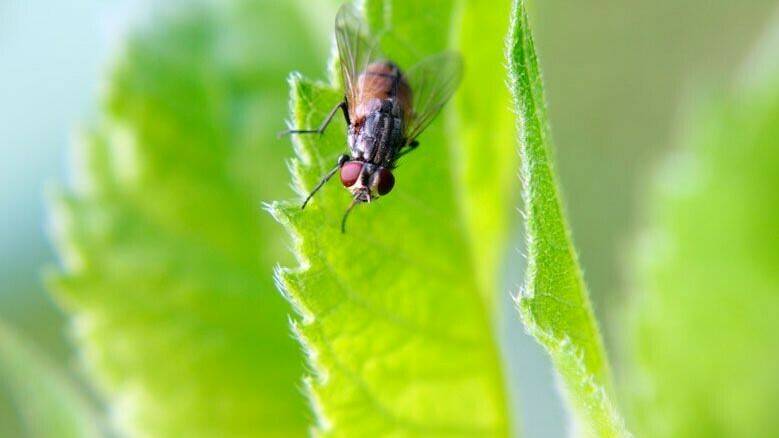 5 preguntas sobre la legislación de productos fertilizantes