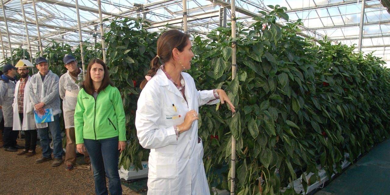 Grupo Agrotecnología en el II Simposio de Agricultura Ecológica