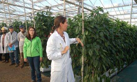 Grupo Agrotecnología en el II Simposio de Agricultura Ecológica