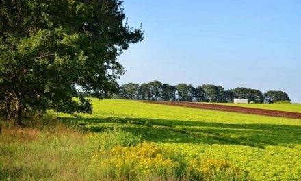 Bayer launches online training in good agricultural practices