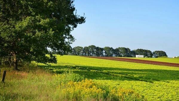 Bayer launches online training in good agricultural practices