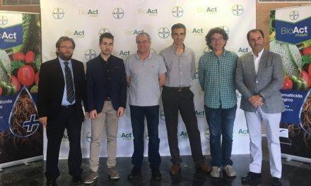 Claves para alcanzar una producción hortícola de calidad con BioActPrime®de Bayer