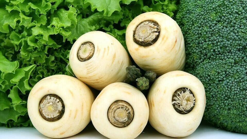 NatureSeal organic line for fresh cut root vegetables & other produce