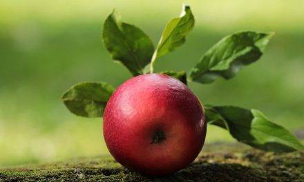 Spotter® WG y Cardinal®, los fungicidas  de Tradecorp para frutales de pepita