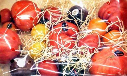 Tomates más sabrosos y nutritivos con menos riego