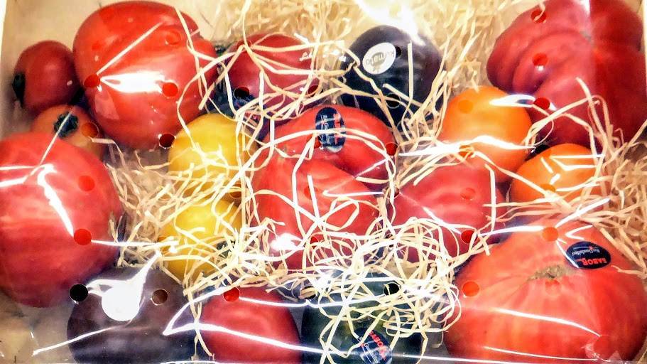 Tomates más sabrosos y nutritivos con menos riego