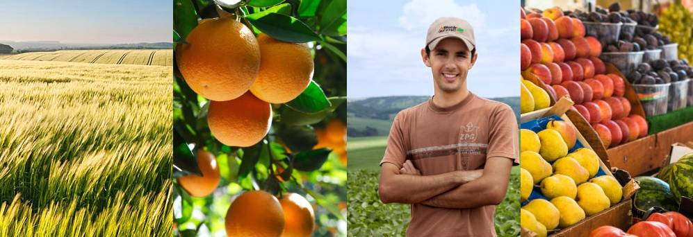 Alltech Crop Science participa junto a Galpagro en Smart Agrifood