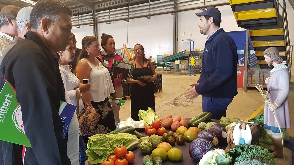 Representantes de cooperativas cubanas visitan Benihort