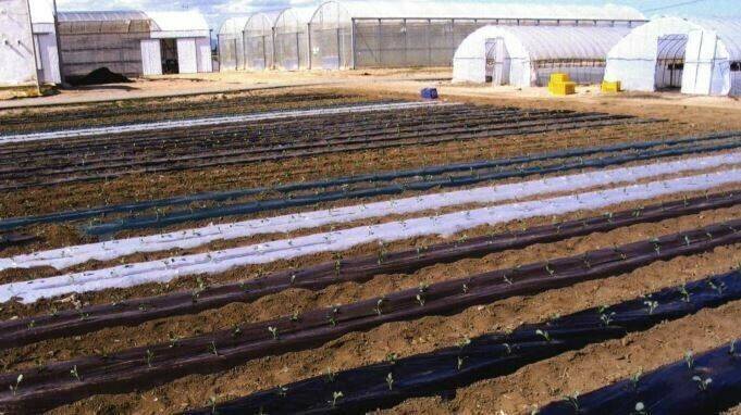 Repsol refuerza su alianza tecnológica para el desarrollo de poliolefinas biodegradables de origen fósil