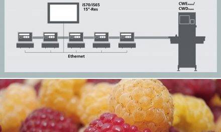 La solución óptima para el envasado de fruta delicada