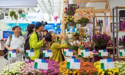 FlowerTrials maintains strong position