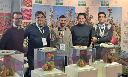 Advanced-stage test pear plantations thanks to the project UniBo University of Bologna – CIV Consorzio Italiano Vivaisti