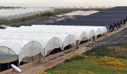 Pantallas termoreflectantes PRISMA®: irradiación difusa y menor temperatura