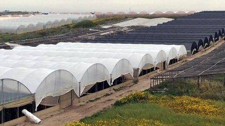 Pantallas termoreflectantes PRISMA®: irradiación difusa y menor temperatura