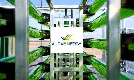 AgriAlgae® ha obtenido el premio «Macfrut Innovation 2018»