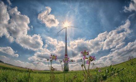 Innovación y sostenibilidad medioambiental en agroalimentación