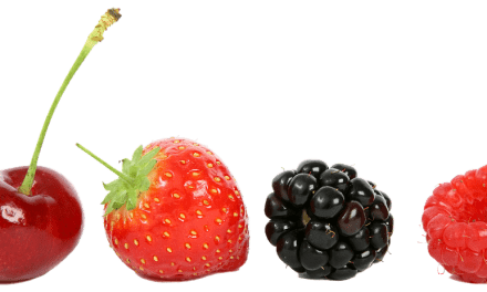 Desinfección con ozono de suelos y plantas en agua de riego y fumigación