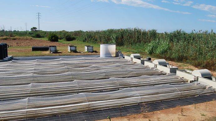 Bioproductos y bioenergía a partir de aguas residuales mediante microalgas