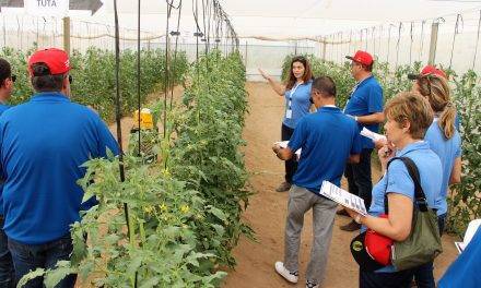 El insecticida Cyazypyr® en cultivos hortícolas, en vía riego, Verimark® 20SC, y aplicación foliar, Benevia® 10OD